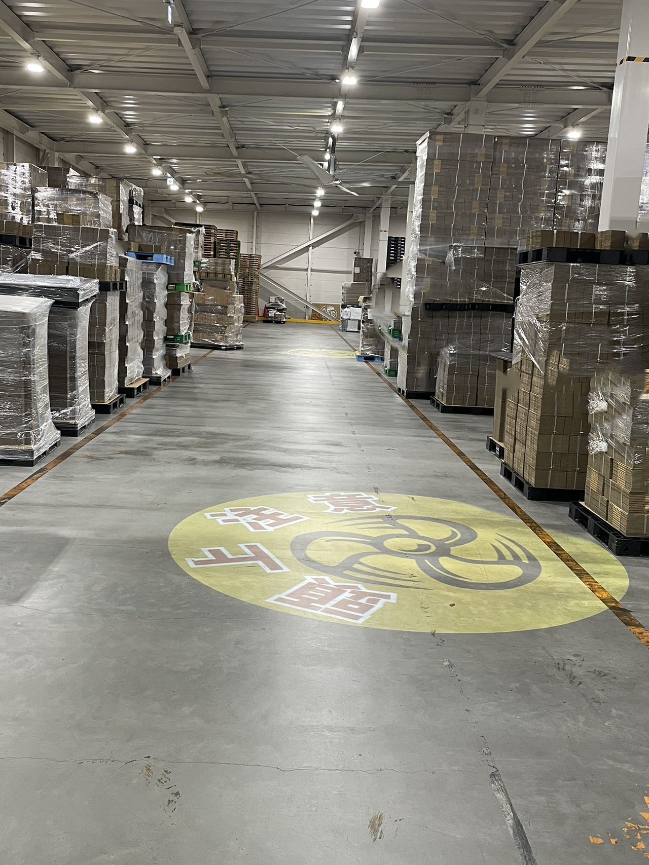 現場での投影イメージ